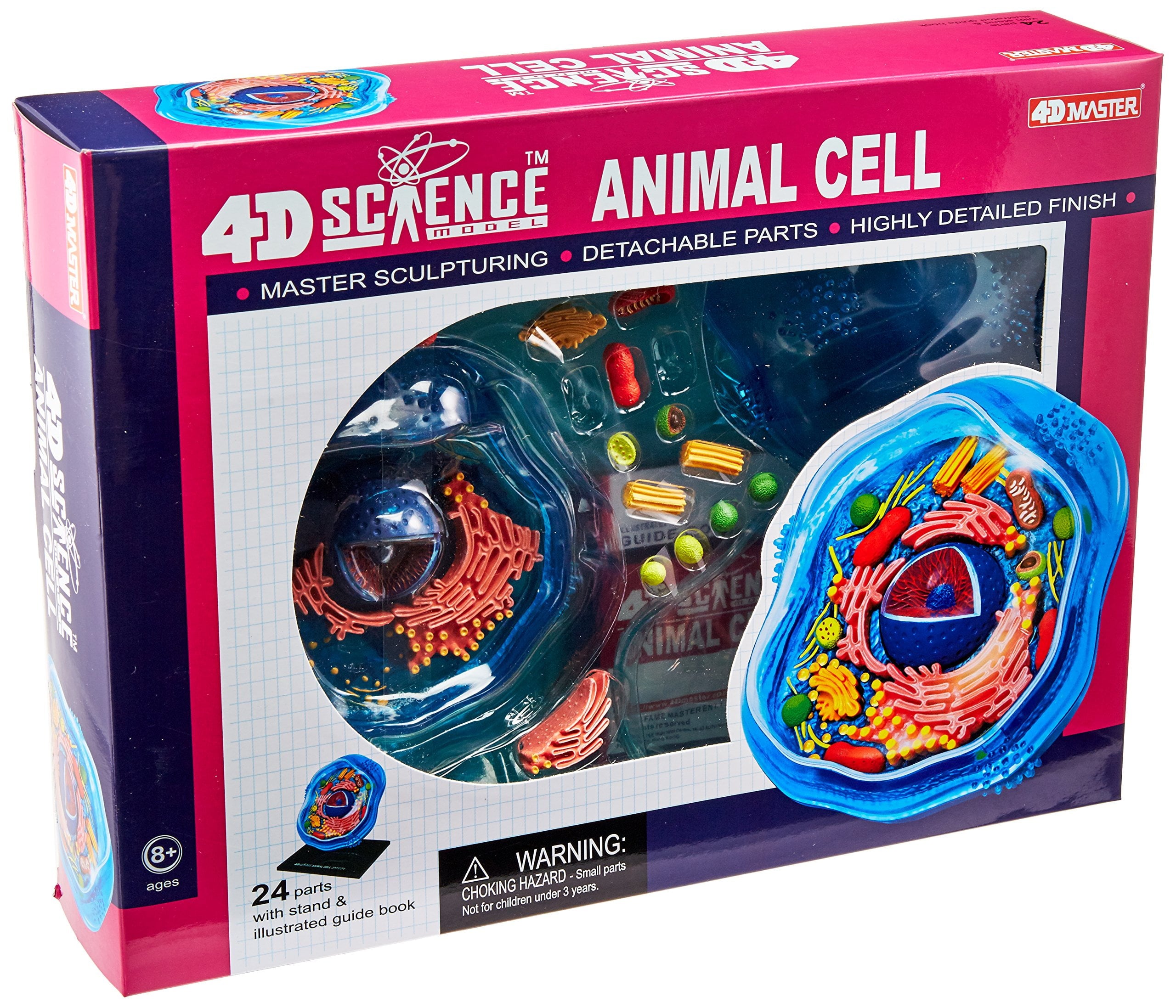 4D Science Animal Cell Anatomy Model, Educational Focus, 26700