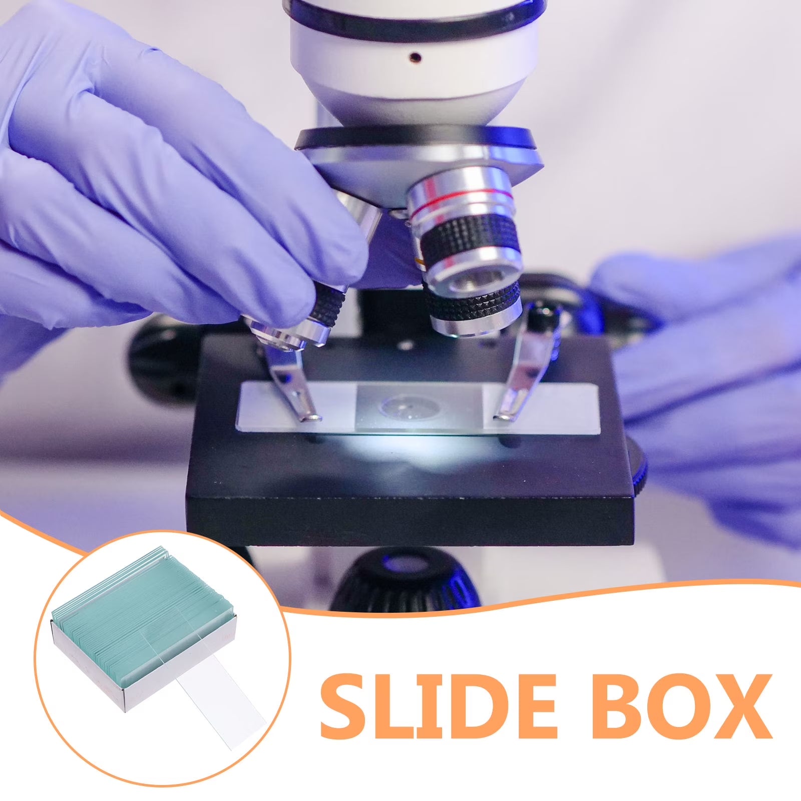 Clear Glass Microscope Slides and Cover Set for Lab, Biology, Science, and Educational Use